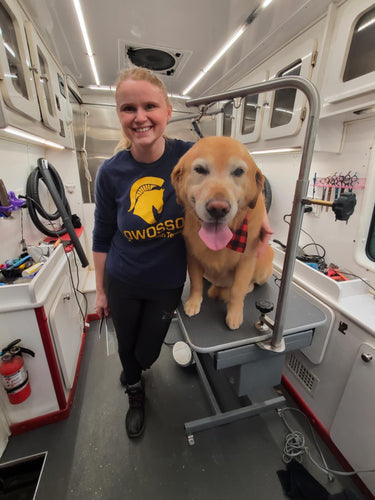 Life of a Mobile Groomer